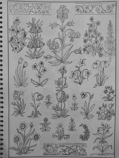 an old book with flowers and plants on it