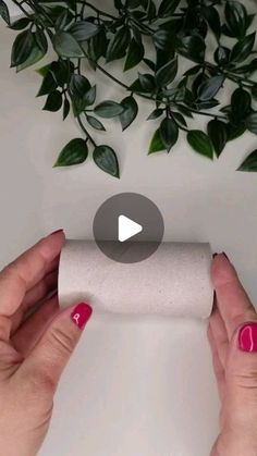 two hands holding a roll of toilet paper in front of a plant with green leaves