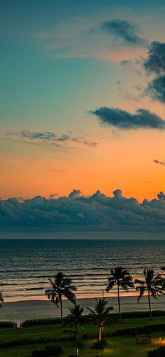 the sun is setting over the ocean with palm trees on the shore and in the foreground