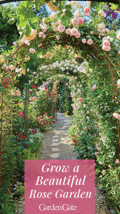 Walkway with Arbors covered with beautiful pink roses Rock Garden With Roses, Rose Wall Garden, Raised Bed Rose Garden, Rose Garden Plans Design, Side Yard Rose Garden, Climbing Rose Arbor, Rose Arches Garden Diy, Secret Rose Garden, Roses In Raised Beds