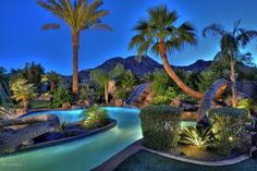 an outdoor swimming pool surrounded by palm trees and landscaping at night with mountains in the background