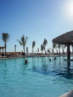 people are swimming in an outdoor pool with palm trees and umbrellas on the beach