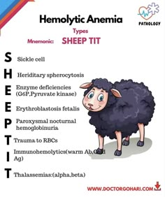 an animal with the words sheep on it's back and side, in different languages