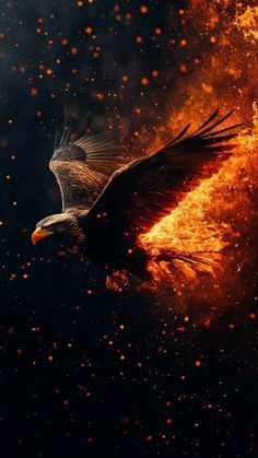 an eagle flying through the air with fire in it's wings