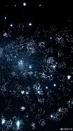 fireworks exploding in the night sky with stars