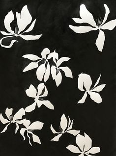 four white flowers on a black background