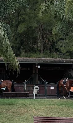 two brown horses standing next to each other on a lush green field