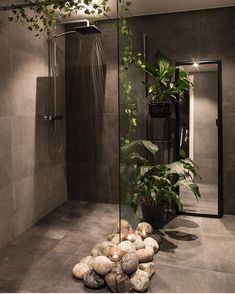 there is a plant in the corner of this bathroom with rocks on the floor and a shower head