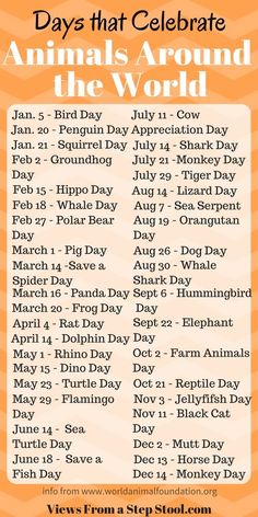 an animal's around the world poster with words in orange and white, including days that celebrate animals around the world