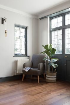 a living room with a chair, potted plant and two windows in the background