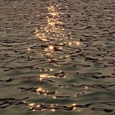 a row of lights that are on the water in front of a boat at sunset