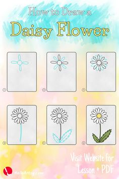 how to draw a daisy flower with pictures on the front and side, including four different flowers