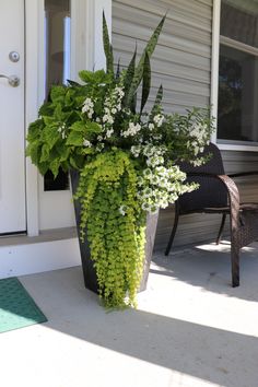 a tall planter filled with white flowers sitting on the front porch next to a chair