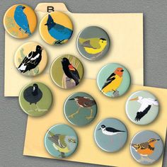 several birds are shown on different colored buttons in this photo, one is yellow and the other is blue