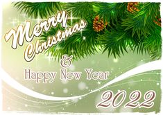 a merry christmas and happy new year greeting card with pine cones on the tree branch