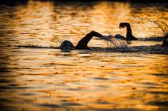 two people swimming in the water at sunset