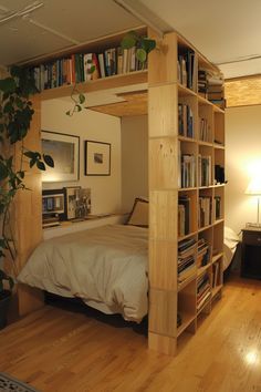 a bedroom with a bed, bookshelf and plant in it's corner