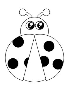 a black and white ladybug with big eyes