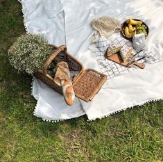 a picnic blanket with bread, fruit and other food items on it in the grass