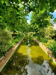 a long narrow canal surrounded by trees and plants