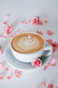 a cappuccino on a saucer surrounded by rose petals