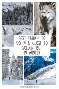 Best things to do in Golden, BC in winter Golden Bc, Winter Walk