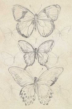 three butterflies sitting on top of each other in the middle of a drawing with pencils