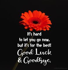 a red flower with the words good luck and goodbye on it's back ground