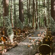 rows of chairs lined up in the middle of a forest filled with trees and flowers