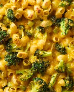 macaroni and cheese with broccoli on top