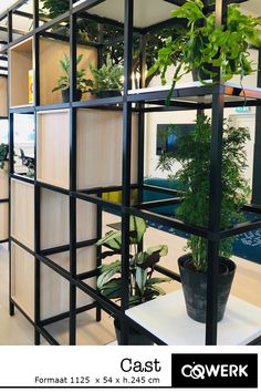 an office cubicle with plants on the shelves