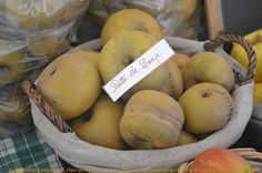 a basket filled with lots of ripe mangoes next to other fruit in plastic bags