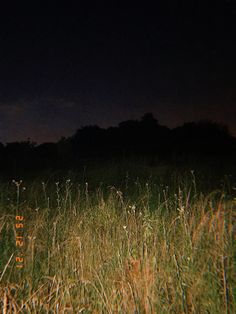 a fire hydrant sitting in the middle of a grass covered field at night time