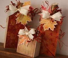 two fall leaves with bows on them are sitting next to each other in front of a book