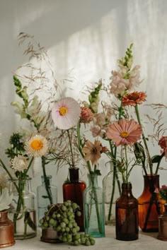 several vases filled with different types of flowers