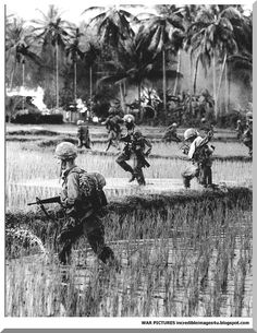 Vietnam War Vietnam History, Vietnam Vets, North Vietnam, South Vietnam, Nagasaki, Vietnam Veterans, Hiroshima, Military History, World History