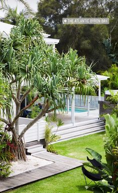 an outdoor swimming pool surrounded by lush green plants