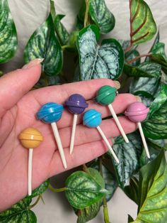 a person is holding four small candy lollipops in their hand next to some plants