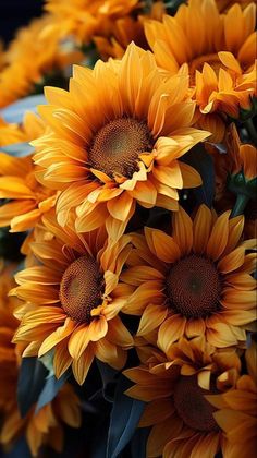 a bunch of yellow sunflowers with green leaves