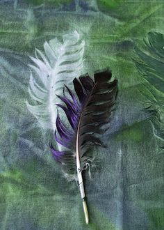 a feather laying on top of a green cloth