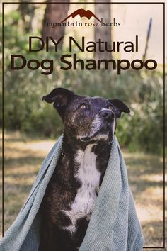 a dog wrapped in a towel with the words diy natural dog shampoo