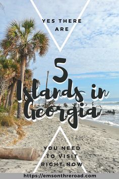 there are palm trees on the beach with text that says 5 friends in georgia you need to visit right now