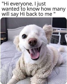 a white dog laying on top of a bed with its mouth open and tongue out