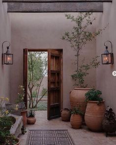 an entry way with potted plants and lights