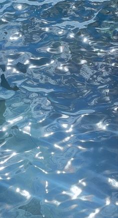 a bird flying over the water with its wings spread