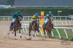 three jockeys are racing horses on the track