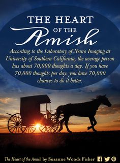 the heart of the finish in amish life, science has a purpose