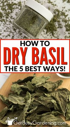 how to dry basil the 5 best ways