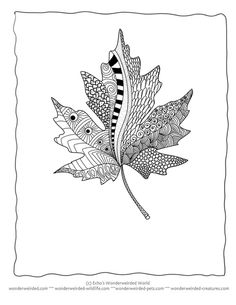 a black and white drawing of a leaf with leaves on it's back side