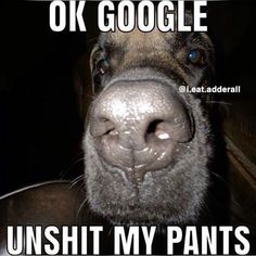 a dog with its mouth open and the caption on it says, ok google unshit my pants